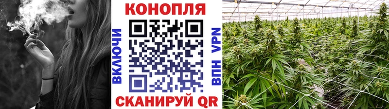 Бошки марихуана планчик  Учалы 